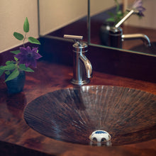 画像をギャラリービューアに読み込む, 排水口カバー(一葉・二葉)